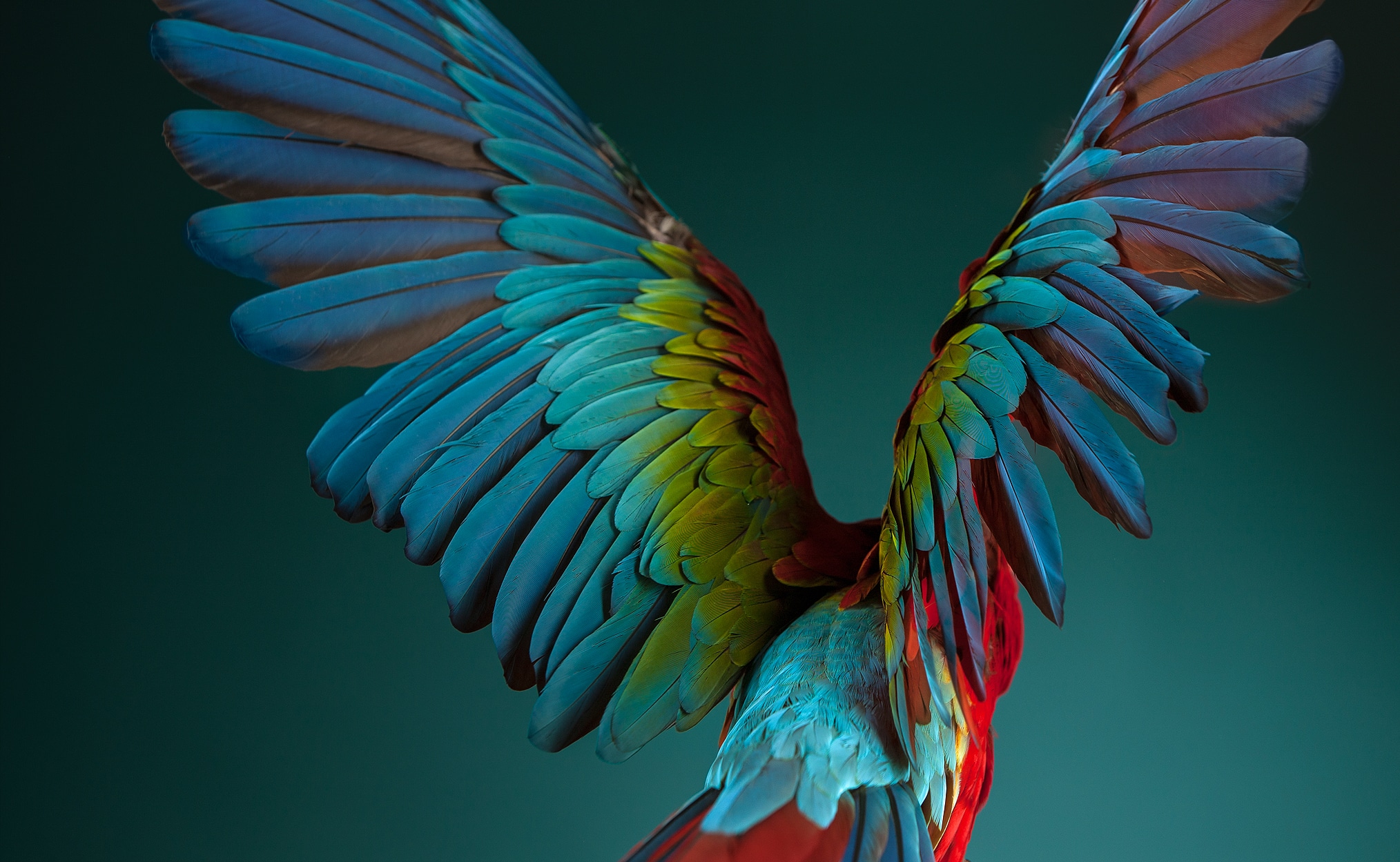 section 7 mobile image